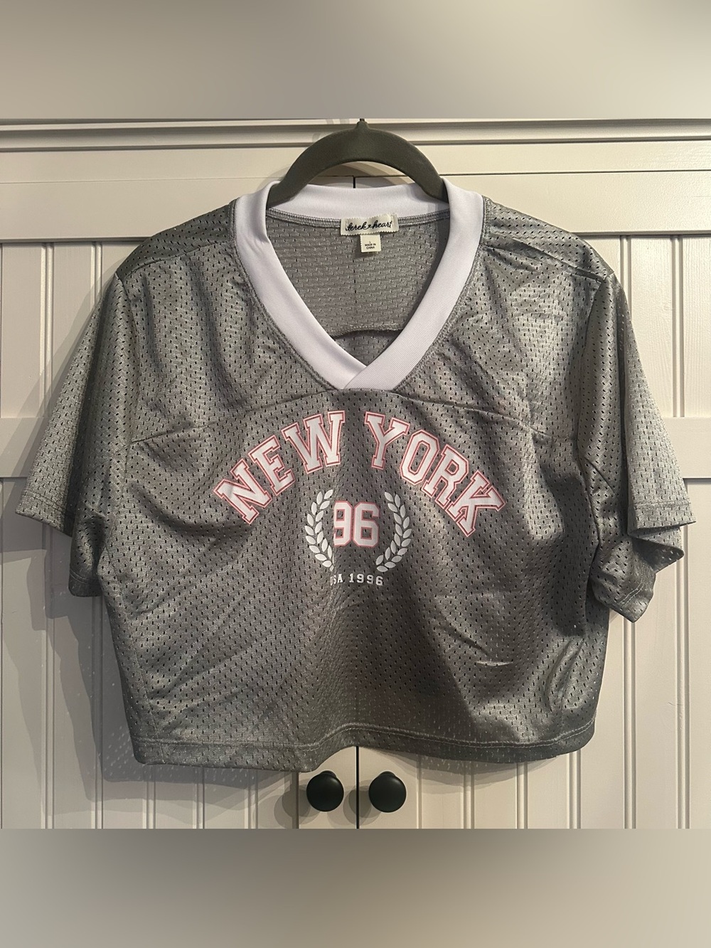 Derek Heart Silver Mesh Crop Top with Cream Trim